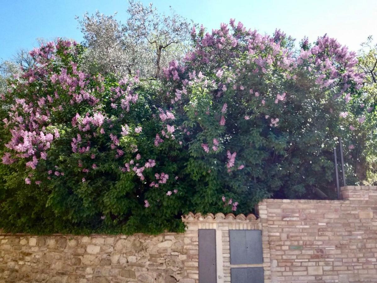 Lavanda E Rosmarino Home Assisi Exterior photo